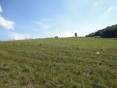 Sale Land – for living, Land – for living, Prešov, Slovakia
